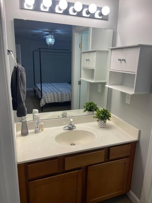 Simple Elegant Townhouse Dt Raleigh Ncsu Apartment Exterior photo