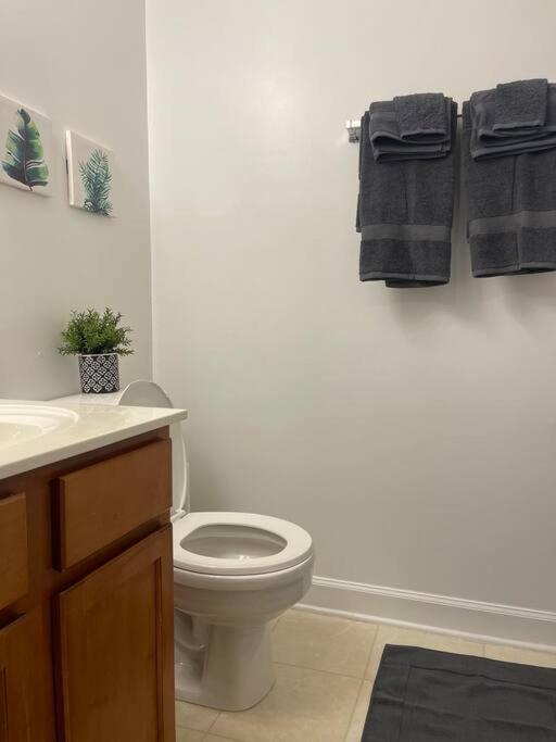 Simple Elegant Townhouse Dt Raleigh Ncsu Apartment Exterior photo